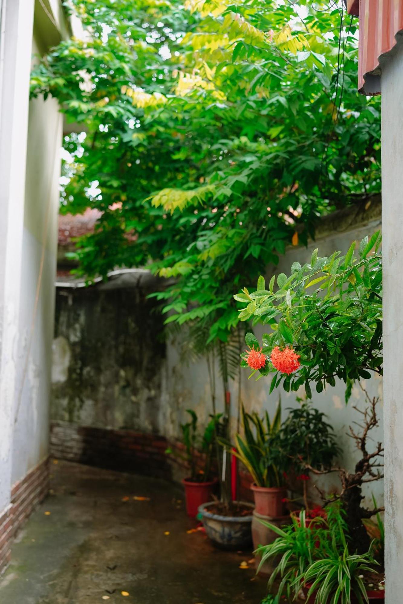 Morri Homestay - Quan Thanh Hanoi Esterno foto