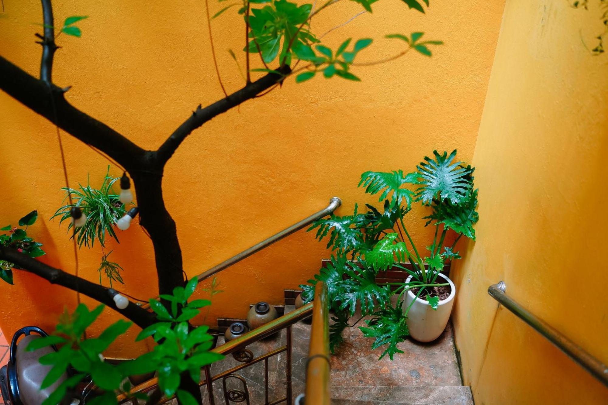 Morri Homestay - Quan Thanh Hanoi Esterno foto