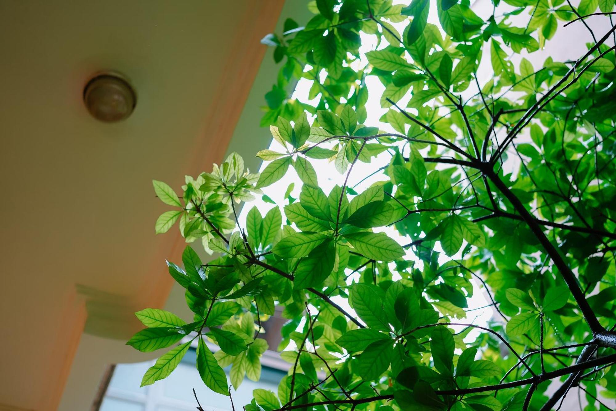 Morri Homestay - Quan Thanh Hanoi Esterno foto