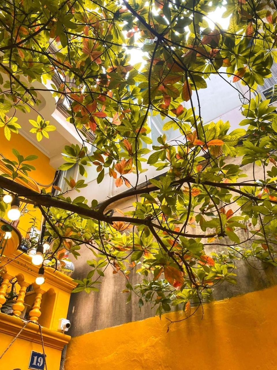 Morri Homestay - Quan Thanh Hanoi Esterno foto