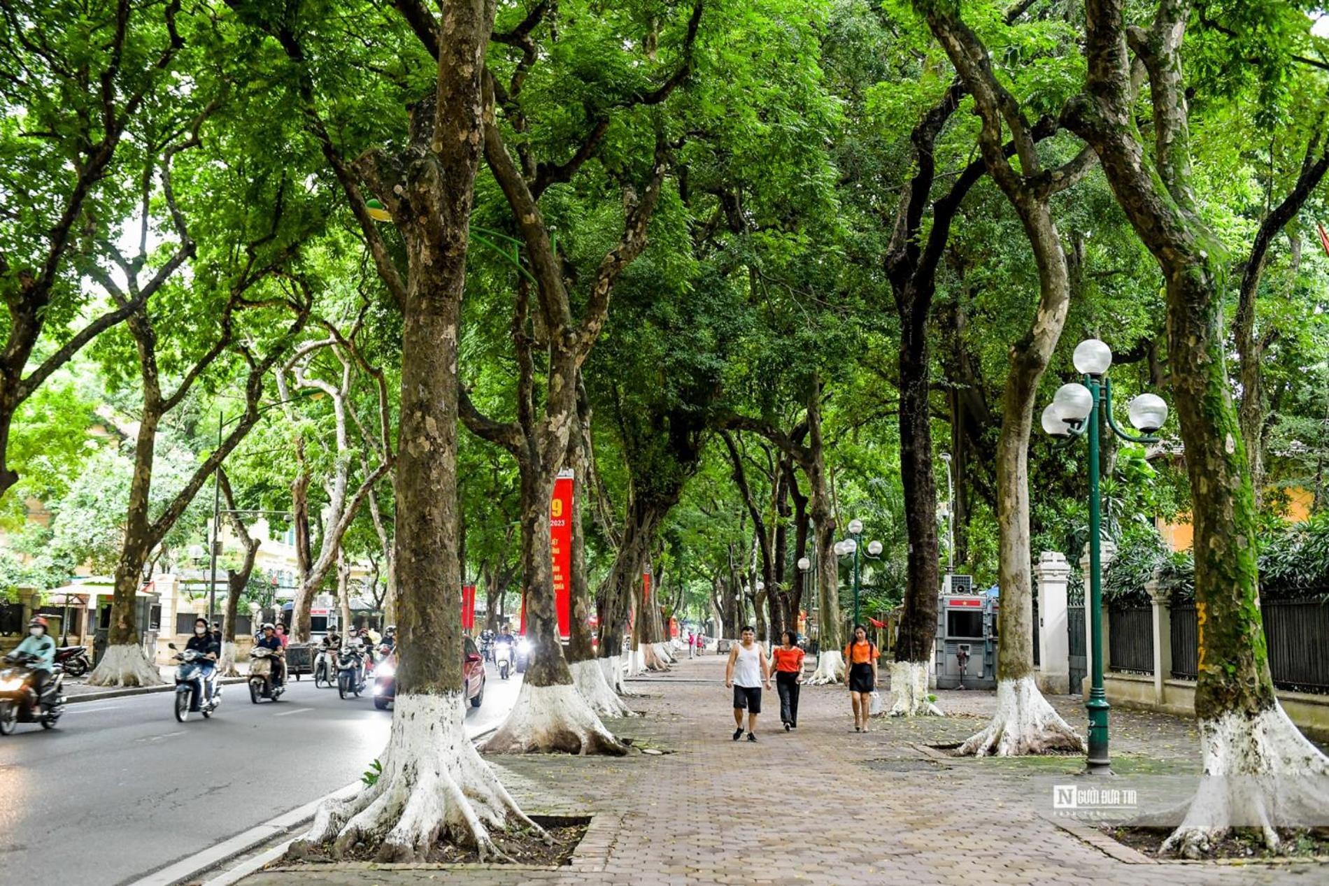 Morri Homestay - Quan Thanh Hanoi Esterno foto
