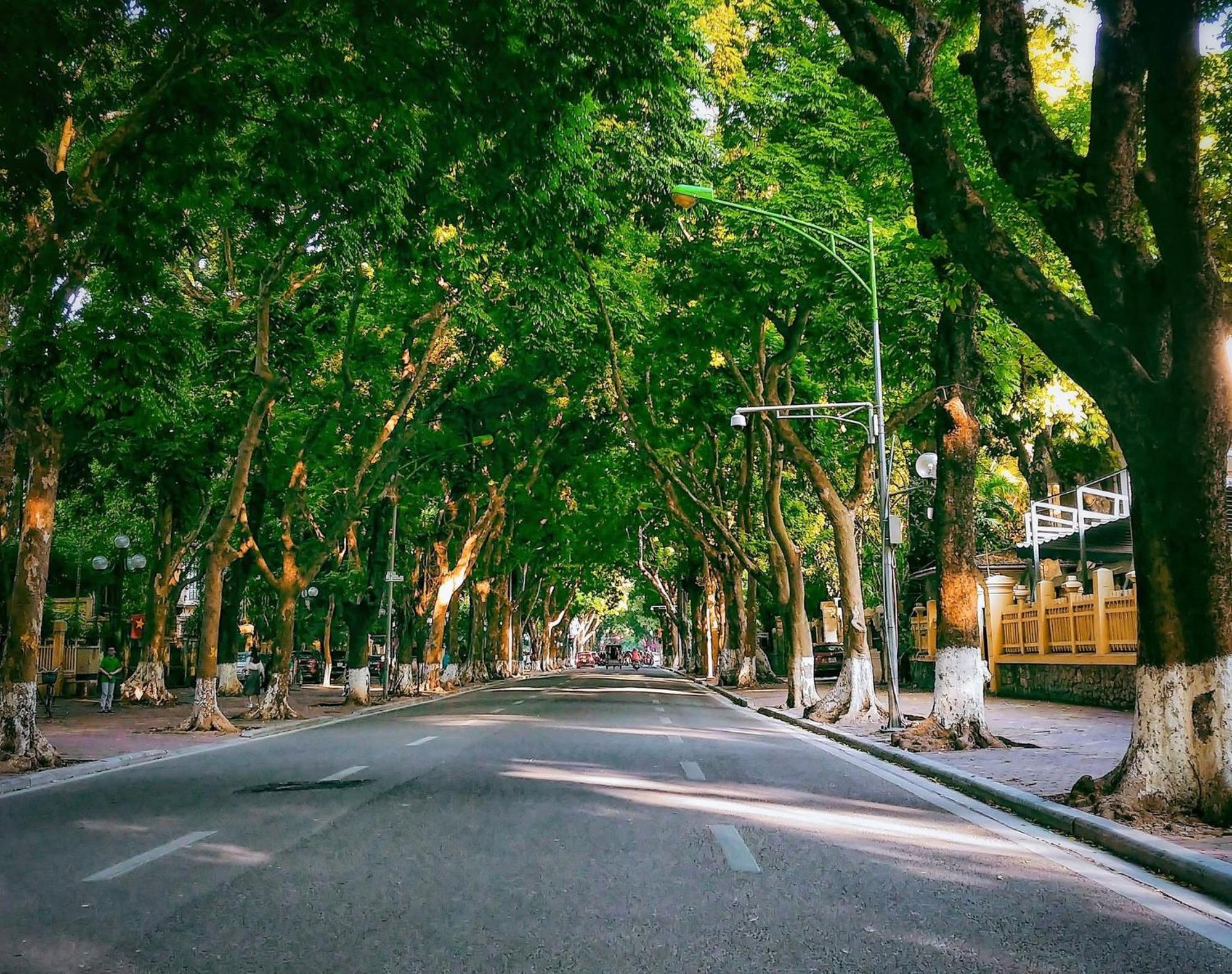 Morri Homestay - Quan Thanh Hanoi Esterno foto