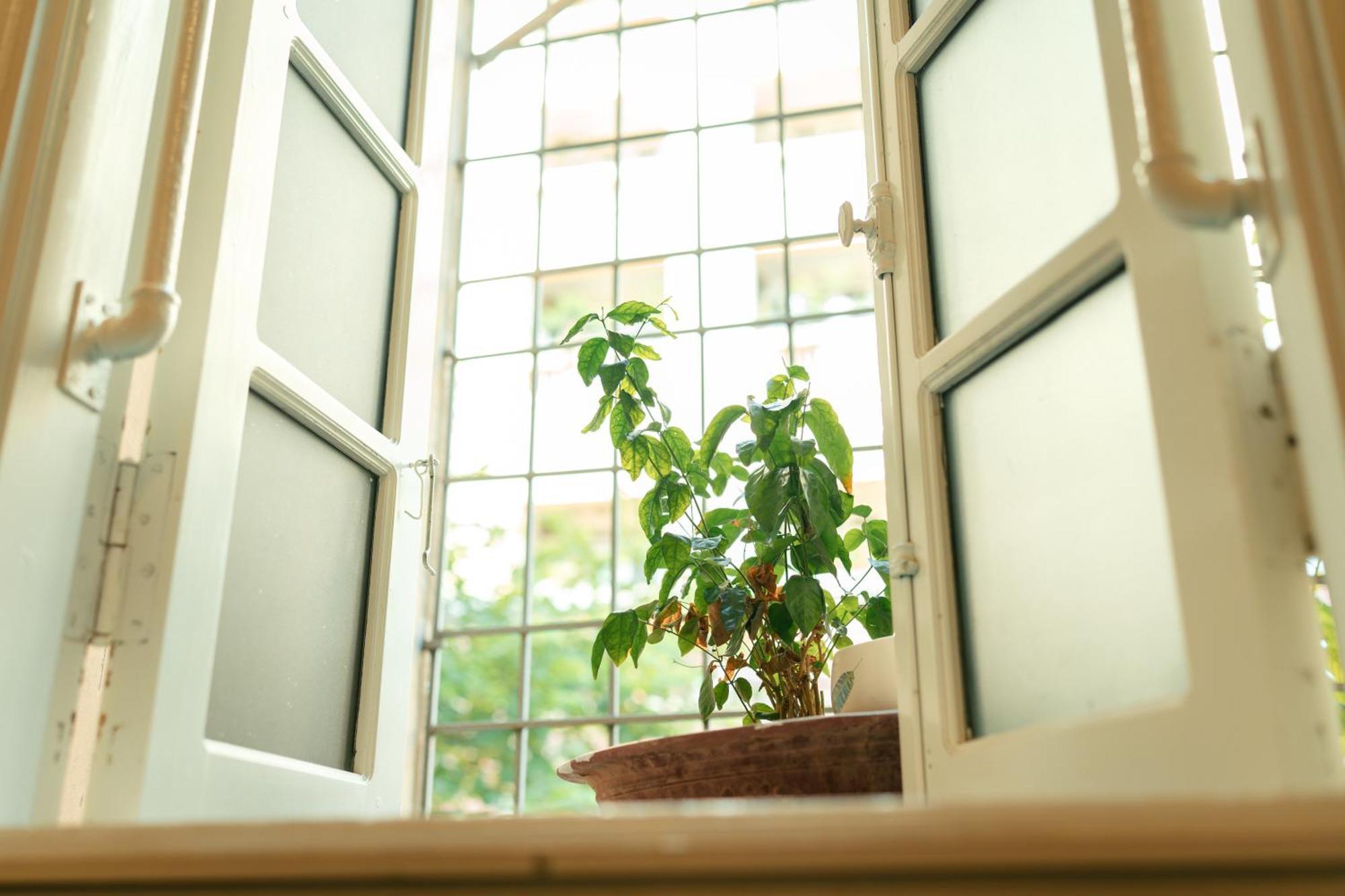 Morri Homestay - Quan Thanh Hanoi Esterno foto